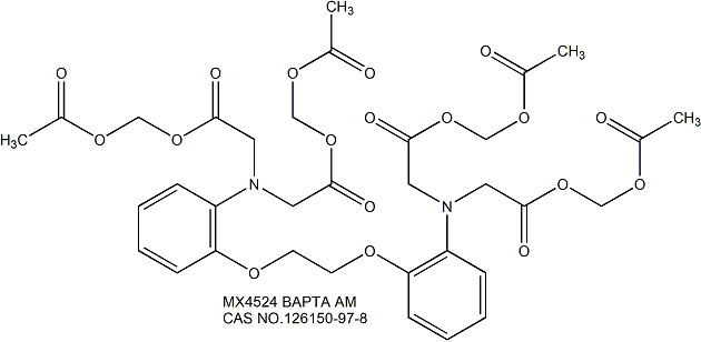 BAPTA AM, Calcium Chelator 钙螯合剂