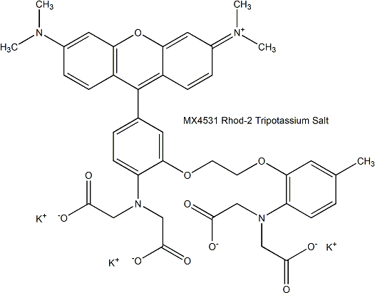Rhod-2 Tripotassium Salt 钙离子荧光探针