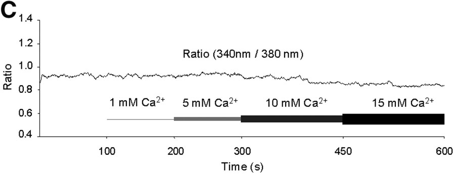 Mag-Fura-2 AM, Cell Permeant 镁离子荧光探针