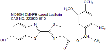 DMNPE-caged Luciferin D-荧光素（DMNPE笼闭 ）