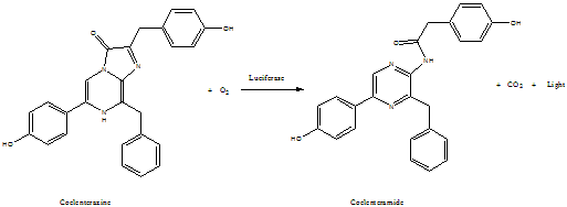 Methyl Coelenterazine 甲基腔肠素