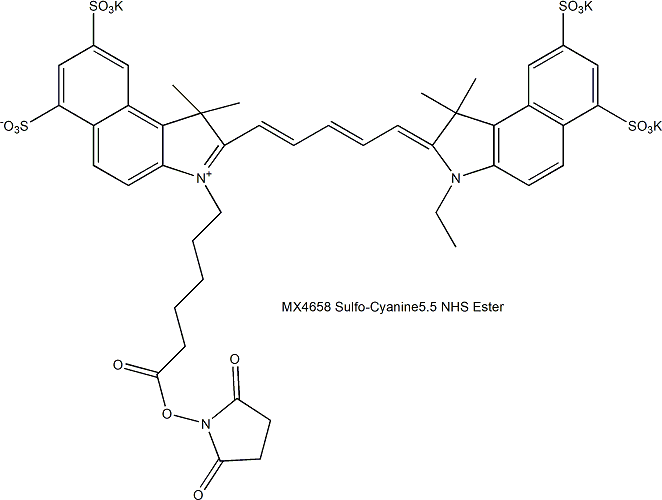 Sulfo-Cyanine5.5 NHS Ester 磺化Cy5.5 NHS酯（水溶性）