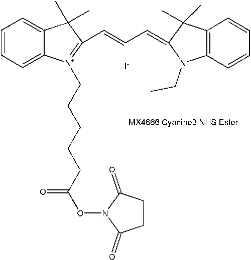 Cyanine3 NHS Ester  Cy3 NHS酯（脂溶性）