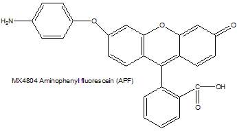 Aminophenyl fluorescein (APF) 氨基苯基荧光素
