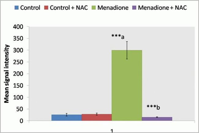 CellROX Green Reagent, for oxidative stress detection 氧化应激检测用探针（绿色）