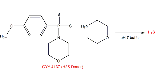 GYY 4137 (H2S Donor) 硫化氢供体