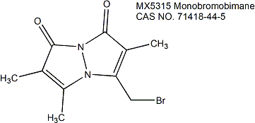 Monobromobimane (mBBr) (Thiol Dye) 单溴二胺（巯基染料）