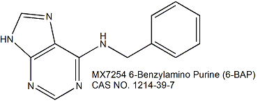 6-Benzylamino Purine (6-BAP) 6-苄氨基嘌呤