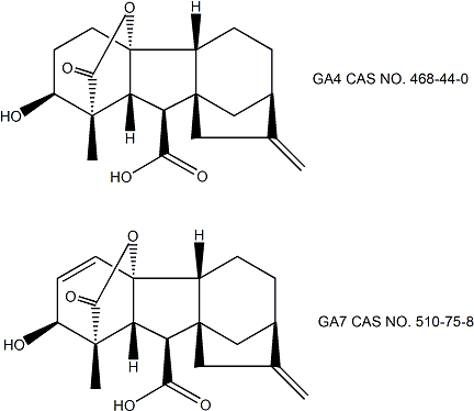 Gibberellic Acid 4+7 (GA4+7) 赤霉素A4+7