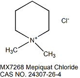 Mepiquat Chloride 缩节胺（助壮素）