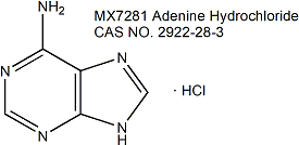Adenine hydrochloride 腺嘌呤盐酸盐（6-氨基嘌呤盐酸盐）