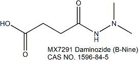 Daminozide 丁酰肼（比久）