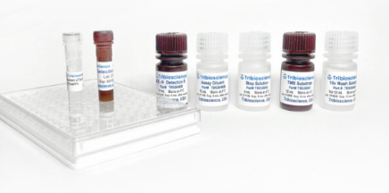 Tribo小鼠白细胞介素-6 ELISA试剂盒（Tribo&trade; Mouse IL-6 ELISA KiTBS3040