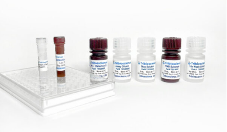 Tribo小鼠CCL2/MCP-1 ELISA试剂盒（Tribo&trade; Mouse CCL2/MCP-1TBS3081
