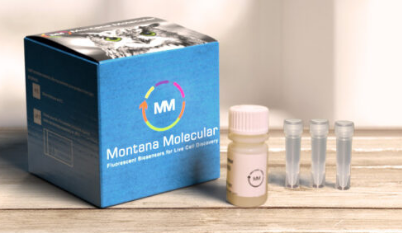 montanamolecular检测试剂盒U0200R