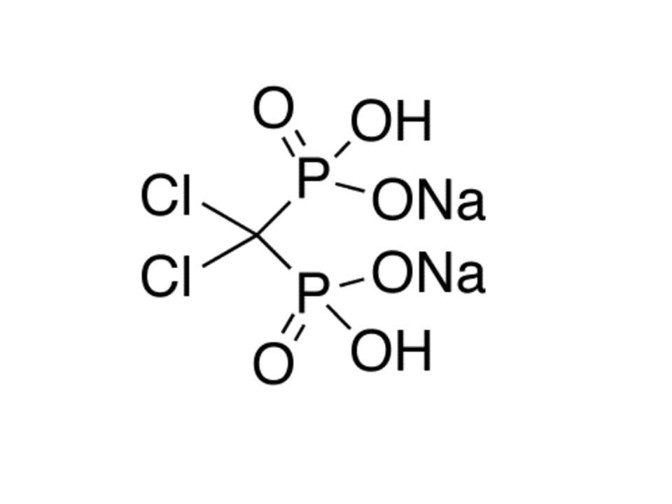 冻干氯膦丝体-A–阴离子氯膦酸盐脂质体F70101C-AL