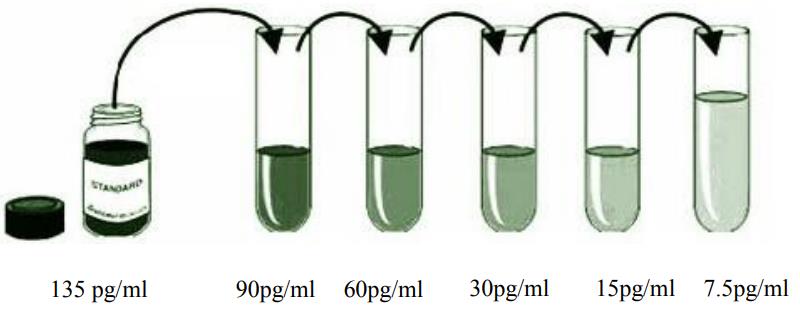 小鼠干扰素β(IFN-β)ELISA kitJYM0332Mo