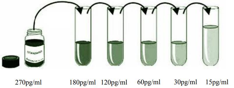 小鼠转化生长因子β1(TGF-β1)ELISA KitJYM0215Mo