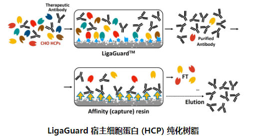 ligatrap产品：LigaGuardLT-LG1