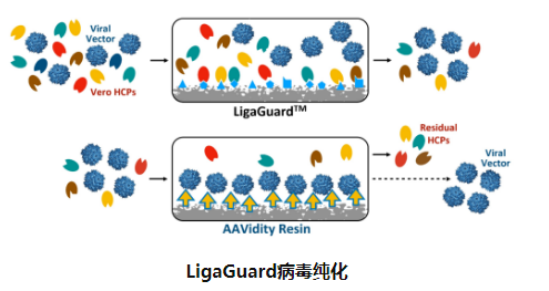ligatrap产品：LigaGuardLT-LG1
