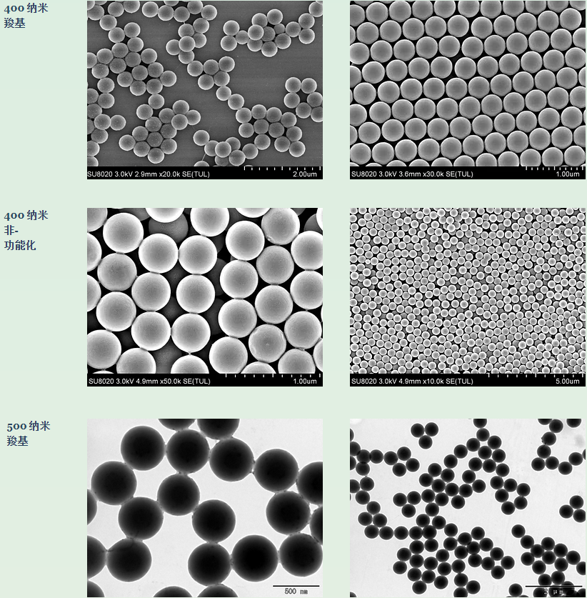 Alpha Nanotech非功能化胶体聚苯乙烯纳米球