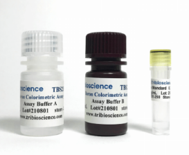 硼比色分析试剂盒（Boron Colorimetric Assay）TBS2301