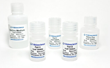 Tribo棕色脂肪细胞分化试剂盒（Tribo&trade; Brown Adipocyte DifferentiTBS8028