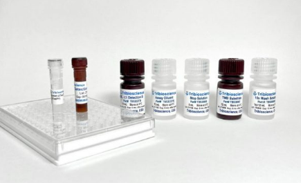 人白细胞介素-22 ELISA试剂盒（Human IL-22 ELISA）TBS3229
