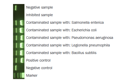 Minerva Biolabs   Onar® Bacteria12-1025