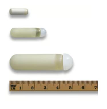 ALZET 渗透泵是如何工作的