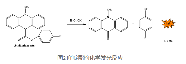 bocsciences化学发光底物详细介绍