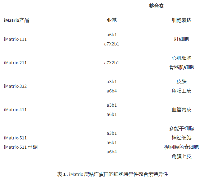 重组人层粘连蛋白及其在细胞培养中的应该