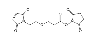 单分散PEG介绍——丙酸琥珀酰亚胺酯-乙二醇-马来酰亚胺