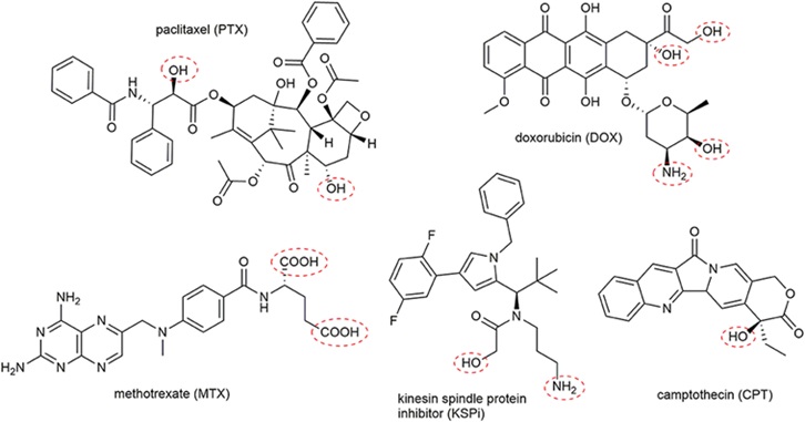 肽-药物偶联物（PDC）：发展现状及研究进展