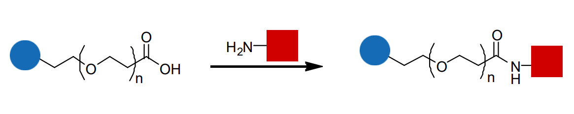 氨基PEG实验方案