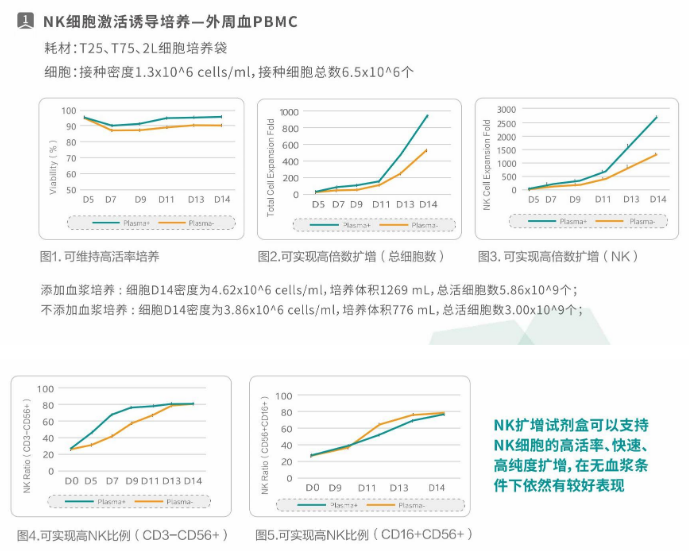 OptiVitro® NK细胞扩增试剂盒介绍