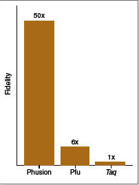 Phusion® 高保真 DNA 聚合酶说明书