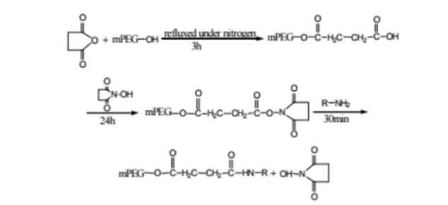 小分子药物聚乙二醇化方法