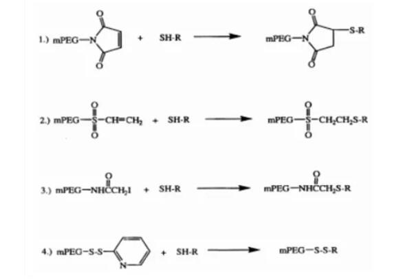 小分子药物聚乙二醇化方法