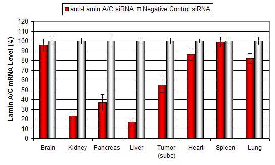 altogen LIPID 体内转染试剂介绍