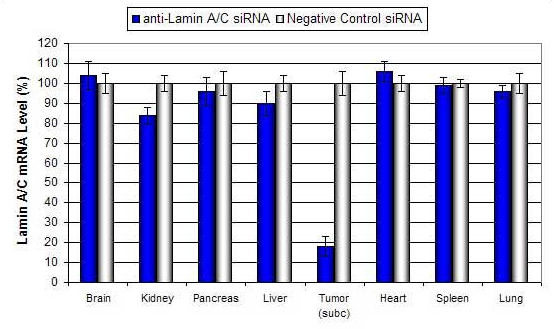 altogen LIPID 体内转染试剂介绍