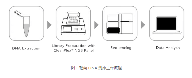 用于 DNA 和 RNA 测序的 CleanPlex 扩增子测序