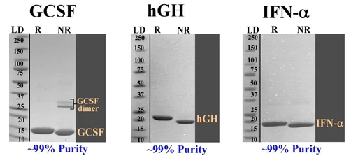 CLiM&trade;技术——CLiM&trade;亲和标签系统简介