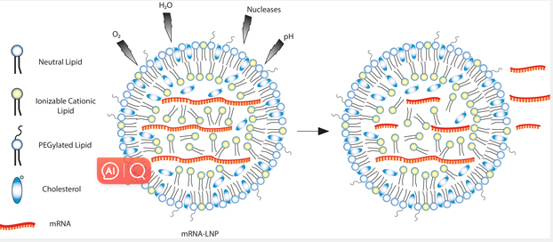 可电离脂质的应用——RNA 递送
