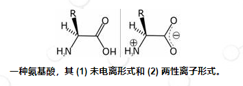 chempep氨基酸概述