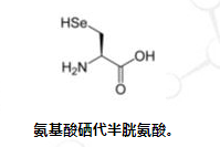 chempep氨基酸概述