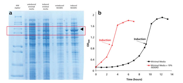 cortecnet的大肠杆菌蛋白表达简介