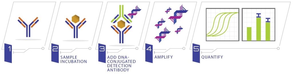 ELISA、免疫 PCR 与 SIMOA：蛋白质检测工具的比较