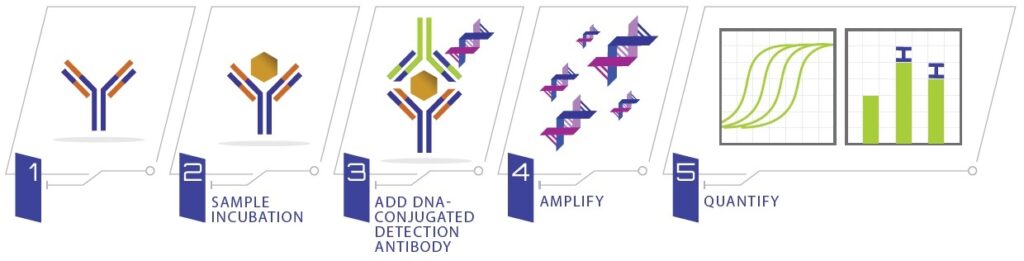 ELISA、免疫 PCR 与 SIMOA:蛋白质检测工具的比较