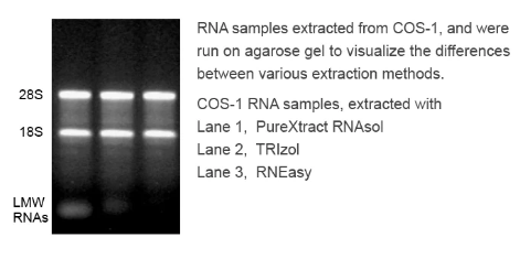 PureXtract RNAsol RNA 分离溶液介绍